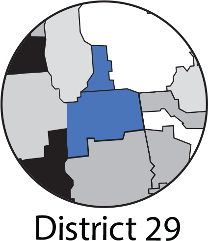 District 29