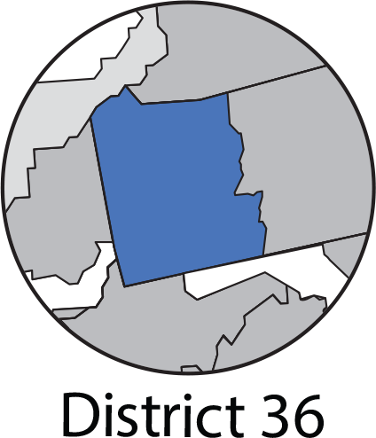 District 36