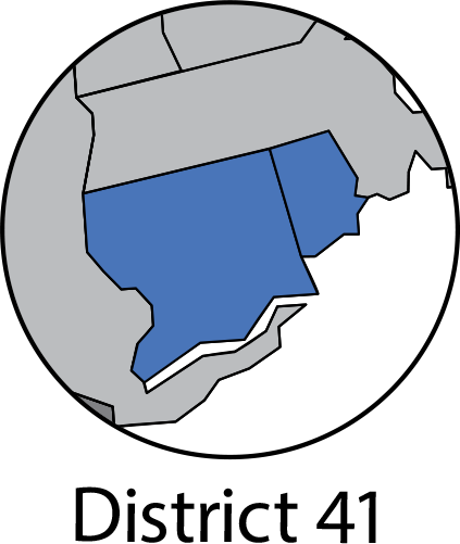 District 41